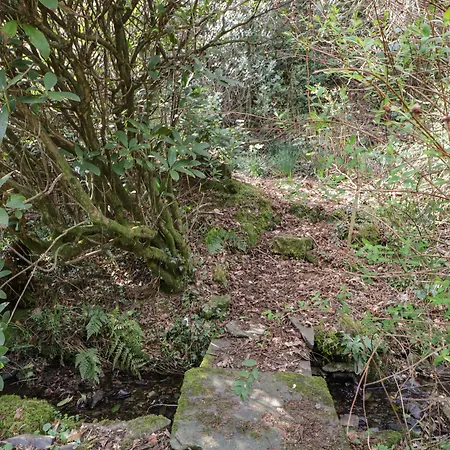 Duddon 度假居 *